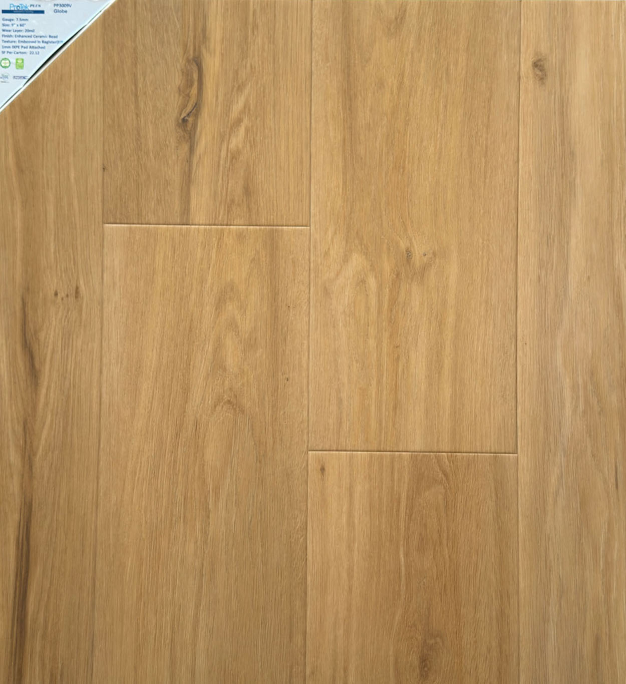 PP3009V Globe