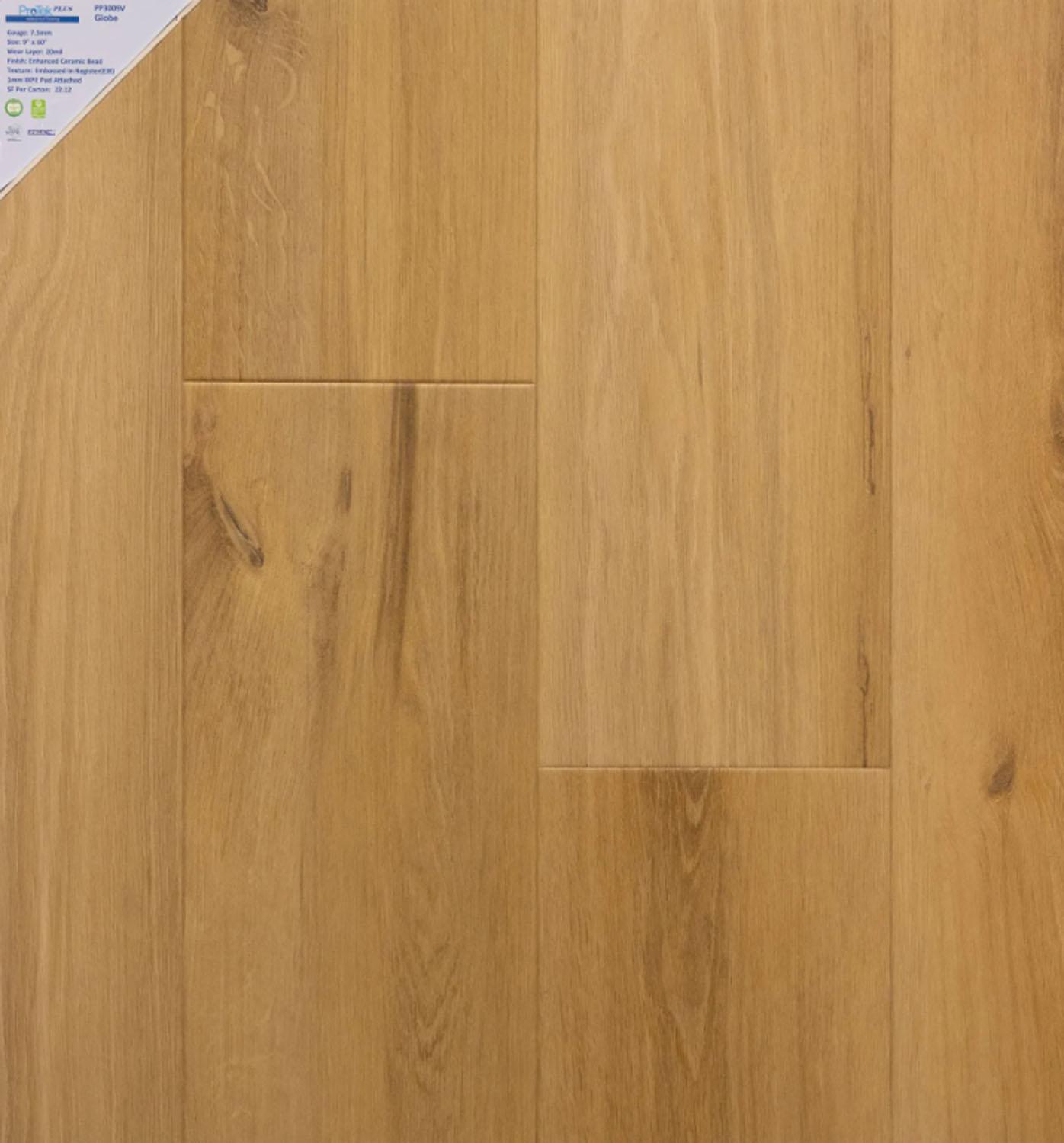PP3009V Globe